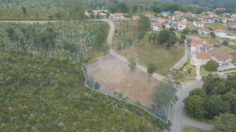 Terreno para Venda em Pinheiro da Bemposta, Travanca e Palmaz