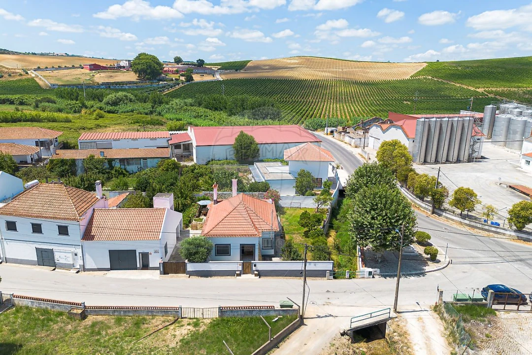 Moradia T3 para Venda em Olhalvo Foto 20