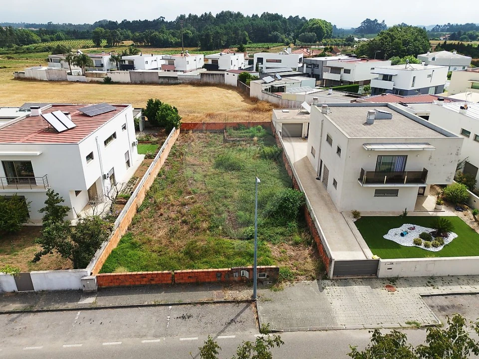 Terreno para Venda em Bustos, Troviscal e Mamarrosa Foto 3