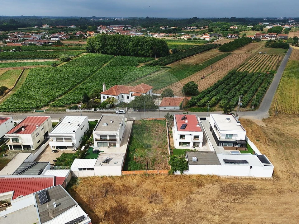 Terreno para Venda em Bustos, Troviscal e Mamarrosa Foto 8