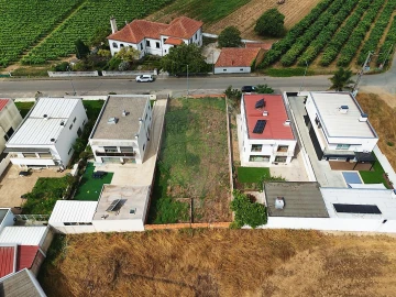 Terreno para Venda em Bustos, Troviscal e Mamarrosa