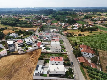 Terreno para Venda em Bustos, Troviscal e Mamarrosa