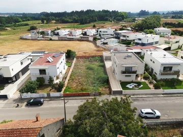 Terreno para Venda em Bustos, Troviscal e Mamarrosa