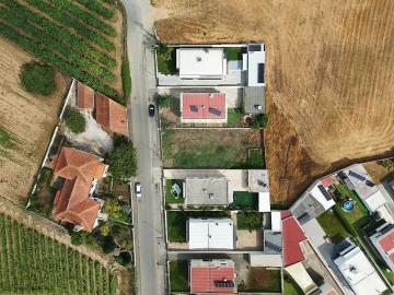 Terreno para Venda em Bustos, Troviscal e Mamarrosa