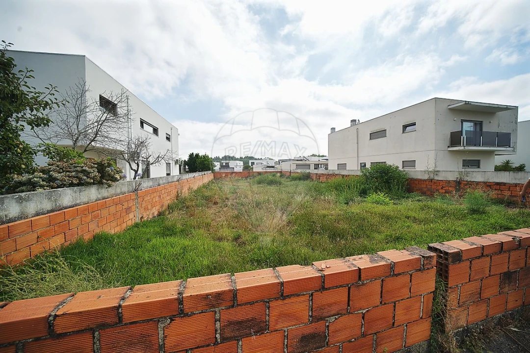 Terreno para Venda em Bustos, Troviscal e Mamarrosa Foto 10