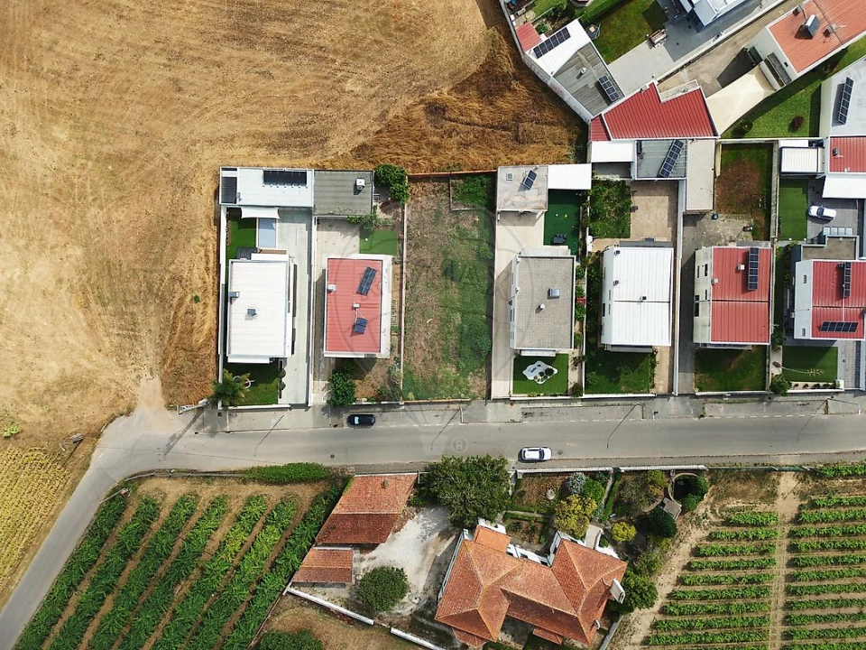 Terreno para Venda em Bustos, Troviscal e Mamarrosa Foto 5