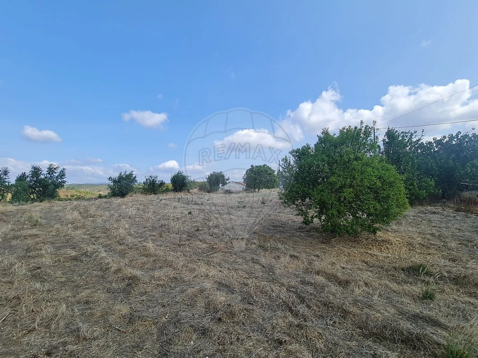 Moradia T4 para Venda em Carvoeiro Foto 25
