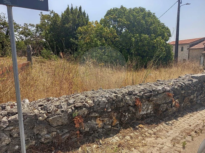 Terreno para Venda em Santiago da Guarda Foto 5