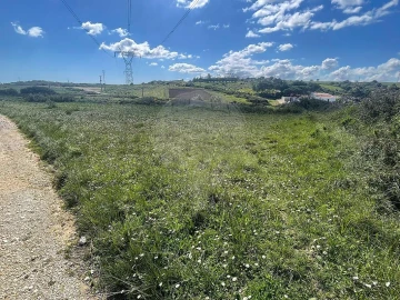Terreno para Venda em Arranho