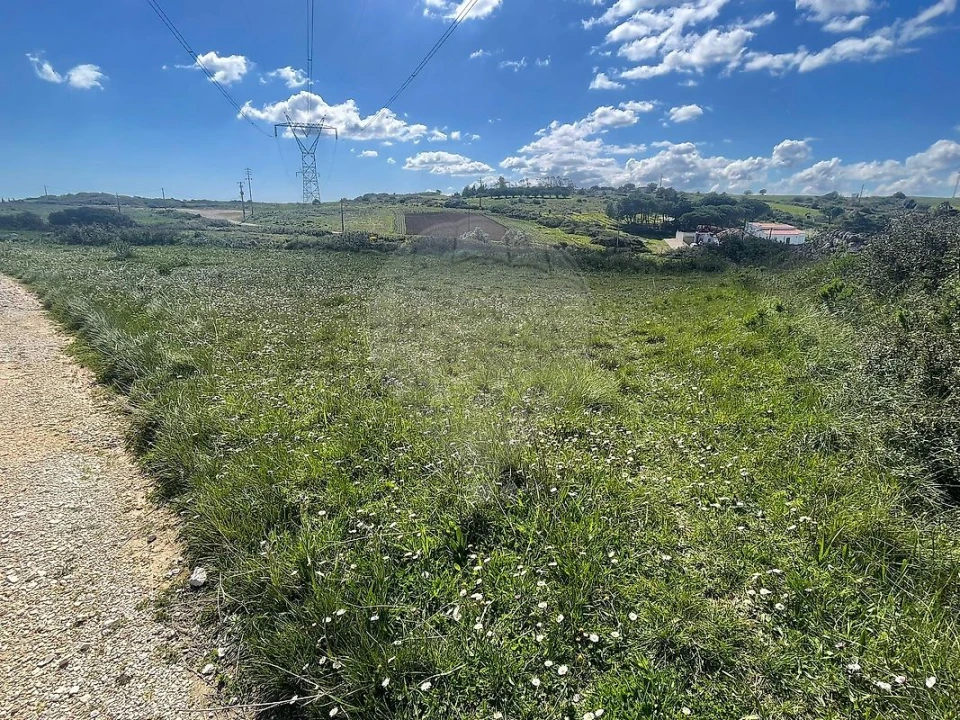 Terreno para Venda em Arranho Foto 5