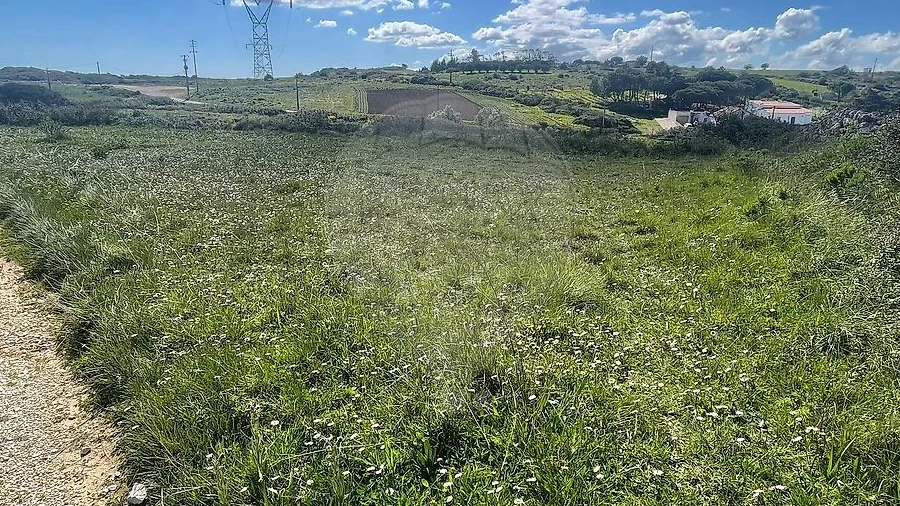 Terreno para Venda em Arranho