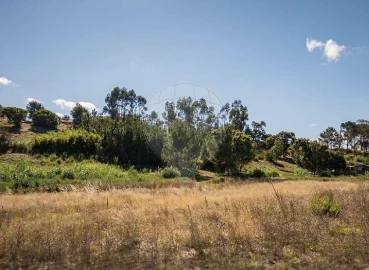 Terreno para Arrendamento em Aveiras de Cima