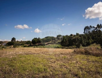 Terreno para Arrendamento em Aveiras de Cima