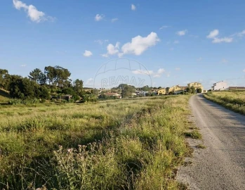 Terreno para Arrendamento em Aveiras de Cima