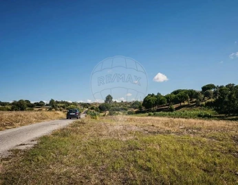 Terreno para Arrendamento em Aveiras de Cima