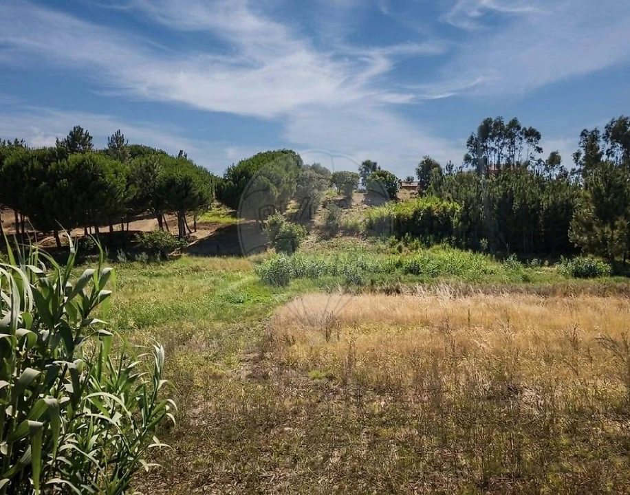 Terreno para Arrendamento em Aveiras de Cima Foto 5