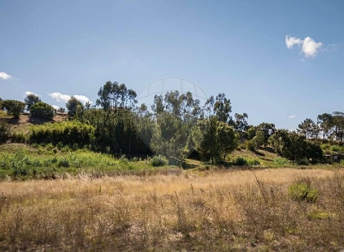 Terreno para Arrendamento em Aveiras de Cima Foto 4