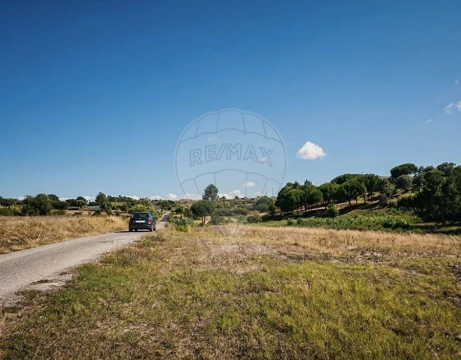 Terreno para Arrendamento em Aveiras de Cima Foto 1