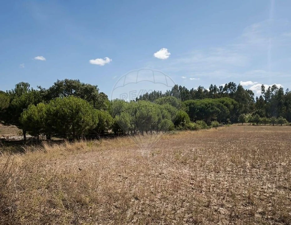 Terreno para Arrendamento em Aveiras de Cima Foto 3