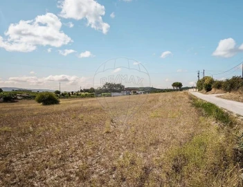 Terreno para Arrendamento em Aveiras de Cima