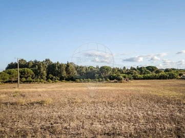 Terreno para Arrendamento em Aveiras de Cima