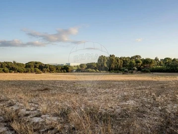 Terreno para Arrendamento em Aveiras de Cima