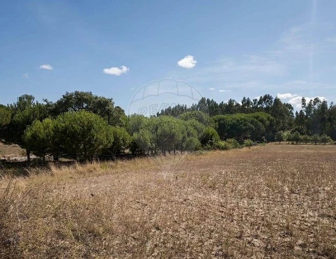 Terreno para Arrendamento em Aveiras de Cima Foto 3