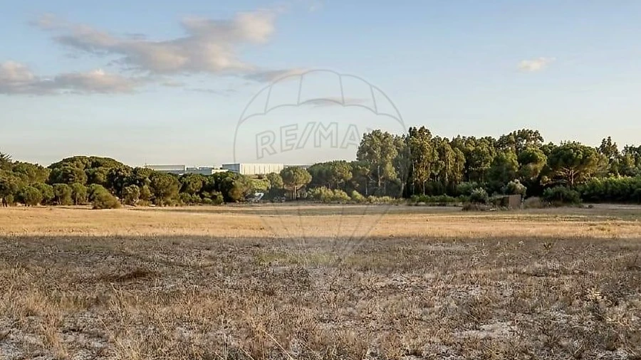 Terreno para Arrendamento em Aveiras de Cima