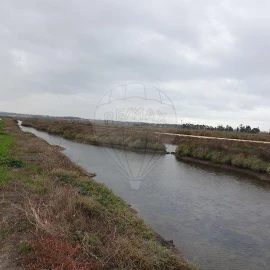 Negócio para Venda em São Pedro