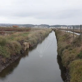 Negócio para Venda em São Pedro
