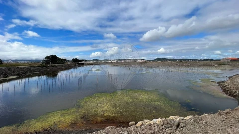 Negócio para Venda em São Pedro