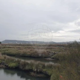 Negócio para Venda em São Pedro