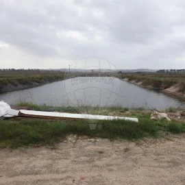 Negócio para Venda em São Pedro