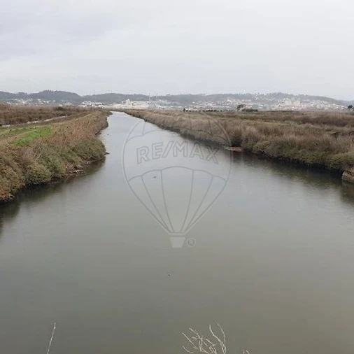 Negócio para Venda em São Pedro Foto 6