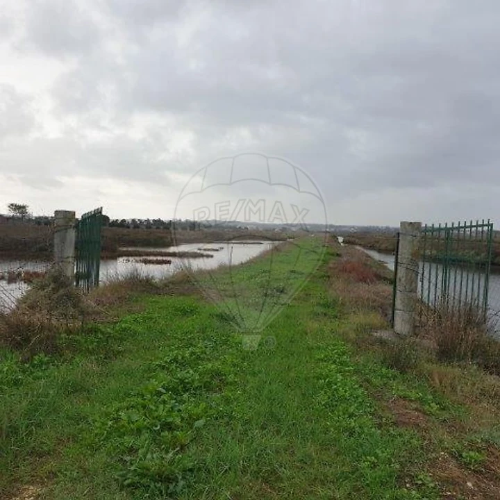 Negócio para Venda em São Pedro Foto 14