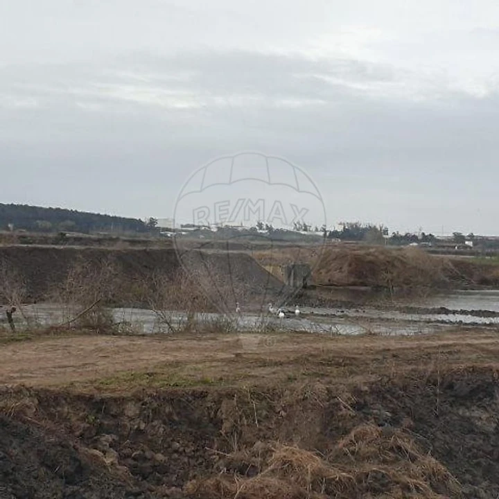Negócio para Venda em São Pedro Foto 8