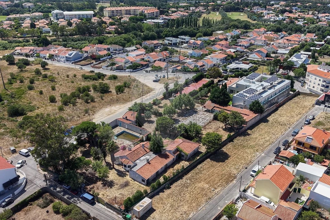 Quinta T0 para Venda em Santa Maria e São Miguel, São Martinho, São Pedro Penaferrim Foto 5