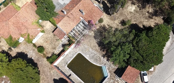 Quinta T0 para Venda em Santa Maria e São Miguel, São Martinho, São Pedro Penaferrim