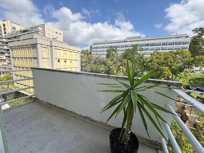 Apartamento T2 para Venda em São Domingos de Benfica Foto 7