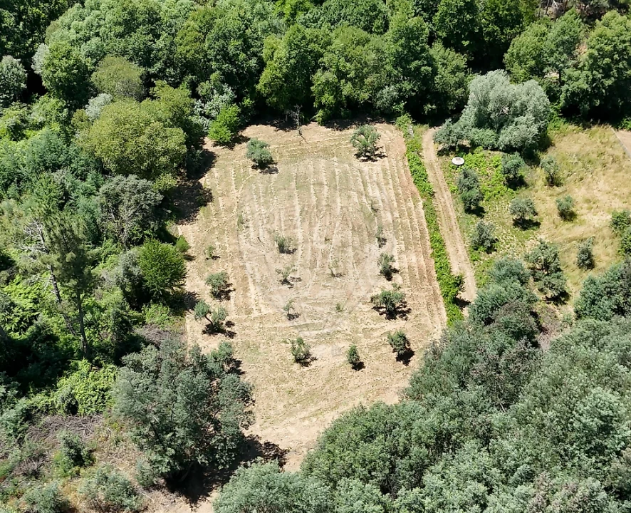 Terreno para Venda em Janeiro de Cima e Bogas de Baixo Foto 6
