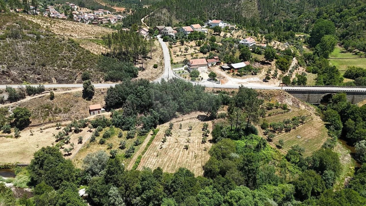Terreno para Venda em Janeiro de Cima e Bogas de Baixo Foto 5