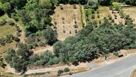 Terreno para Venda em Janeiro de Cima e Bogas de Baixo