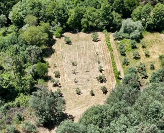 Terreno para Venda em Janeiro de Cima e Bogas de Baixo