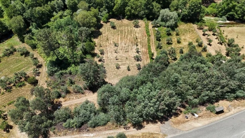 Terreno para Venda em Janeiro de Cima e Bogas de Baixo
