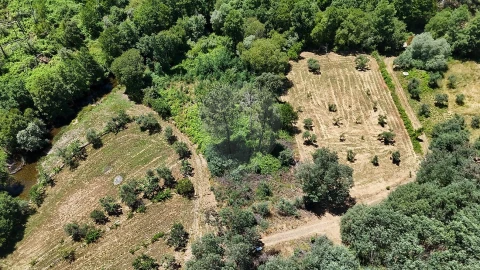Terreno para Venda em Janeiro de Cima e Bogas de Baixo