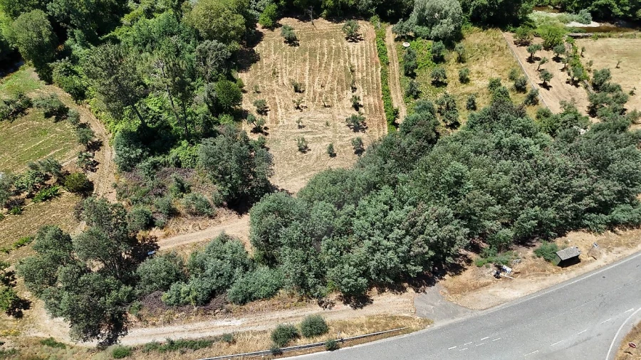 Terreno para Venda em Janeiro de Cima e Bogas de Baixo Foto 2