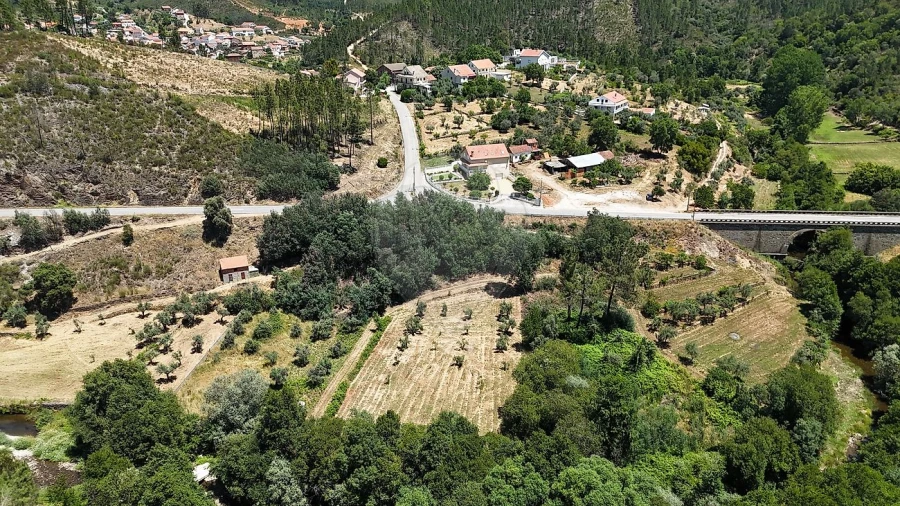 Terreno para Venda em Janeiro de Cima e Bogas de Baixo Foto 5