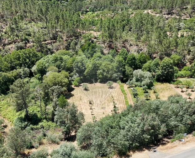 Terreno para Venda em Janeiro de Cima e Bogas de Baixo Foto 7