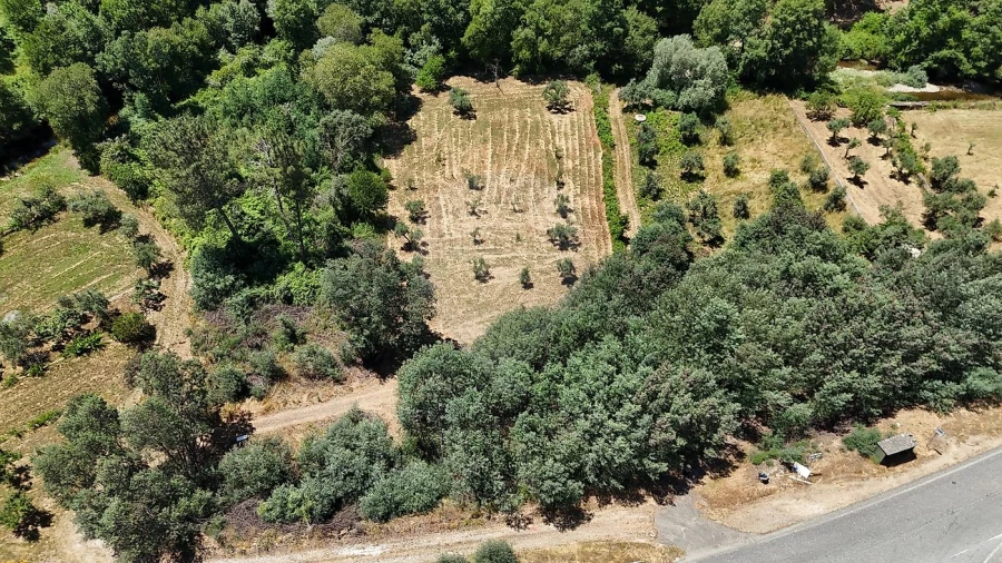 Terreno para Venda em Janeiro de Cima e Bogas de Baixo Foto 3