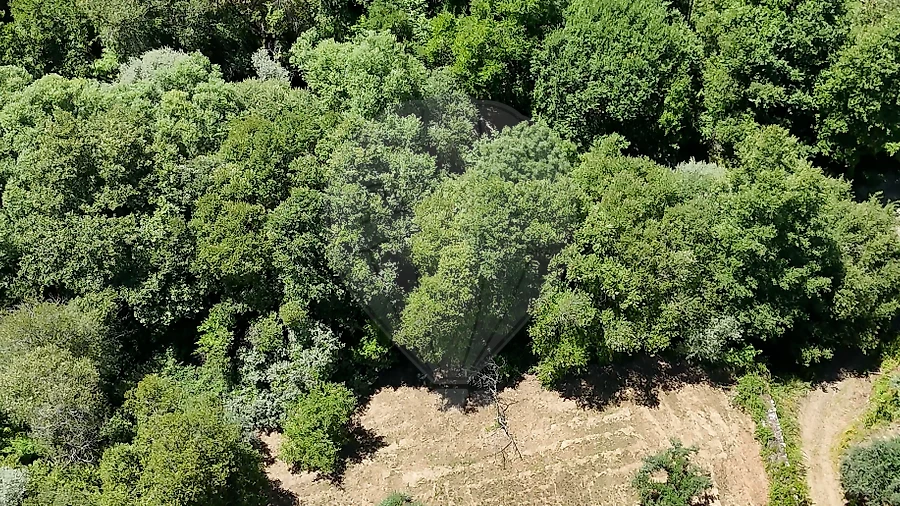 Terreno para Venda em Janeiro de Cima e Bogas de Baixo
